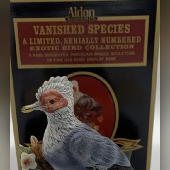 RARE Pigeon Hollandaise Extinct Bird Vintage Aldon Porcelain Sculpture No Box - Picture 6 of 10